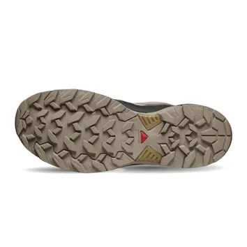 Кросівки Чоловічі Salomon X Ultra 360 GTX Beige/Brown L47865300