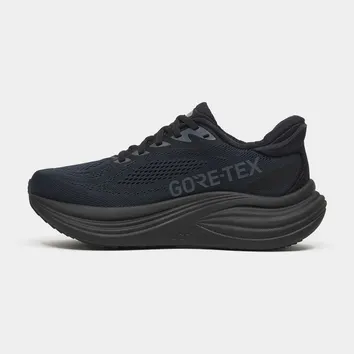 Кросівки Жіночі Saucony Triumph 24 Gore-Tex S101652-1003