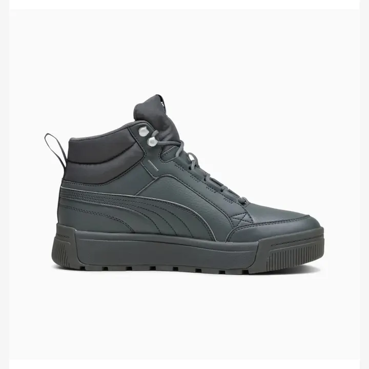 Кросівки Чоловічі Puma Tarrenz SB III Shadow Gray 39262803