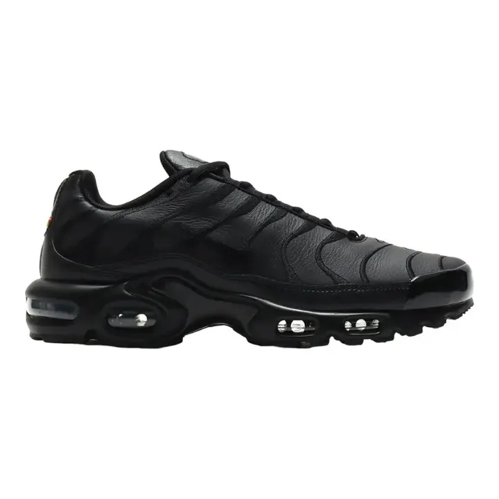 Кросівки Nike Air Max Plus Black AJ2029-001