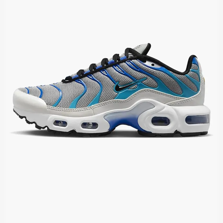 Кросівки Чоловічі Nike Air Max Plus Light Smoke Grey/Black CD0609-019