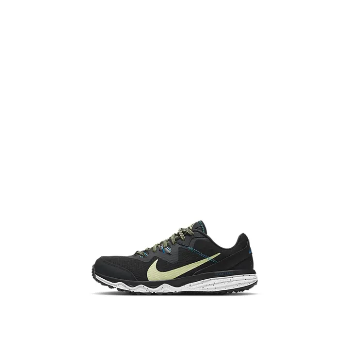 Кросівки Чоловічі Nike Juniper Trail CW3809-004