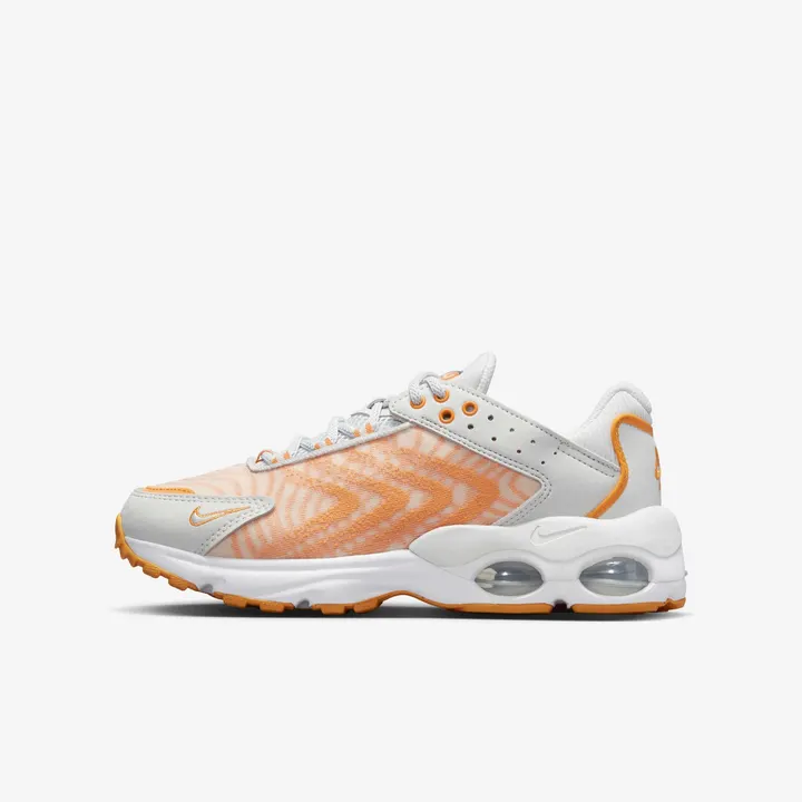 Кросівки Чоловічі Nike Air Max TW FJ4660-001