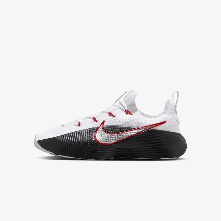 Кросівки Чоловічі Nike LeBron TR 1 FJ6151-101