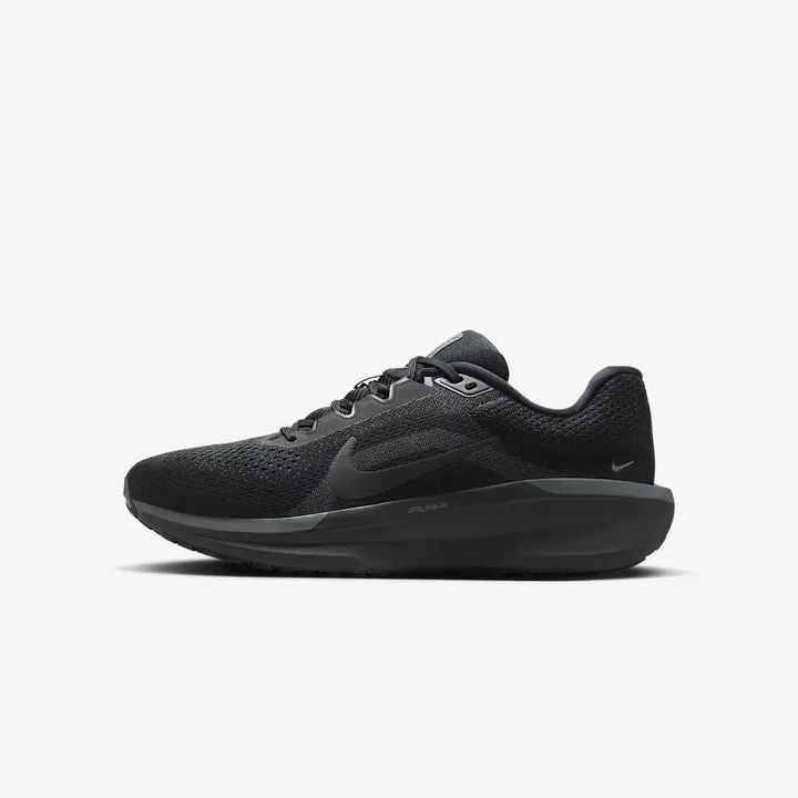 Кросівки Чоловічі Nike Air Winflo 11 FJ9509-002