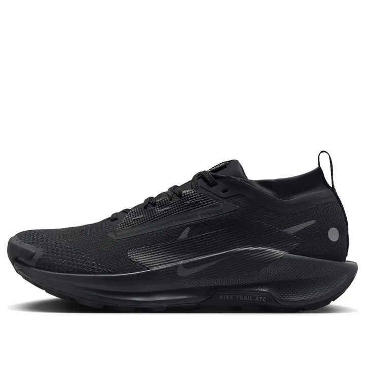 Кросівки Чоловічі Nike Pegasus Trail 5 Gore-Tex Black Anthracite FQ0908-002