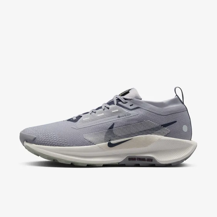 Кросівки Чоловічі Nike Pegasus Trail 5 GORE-TEX Cement Grey/Midnight Navy FQ0908-006
