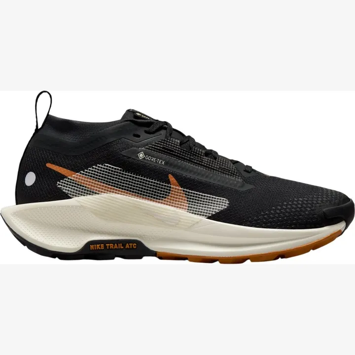 Кросівки Чоловічі Nike Pegasus Trail 5 GORE-TEX Black Monarch FQ0912-005