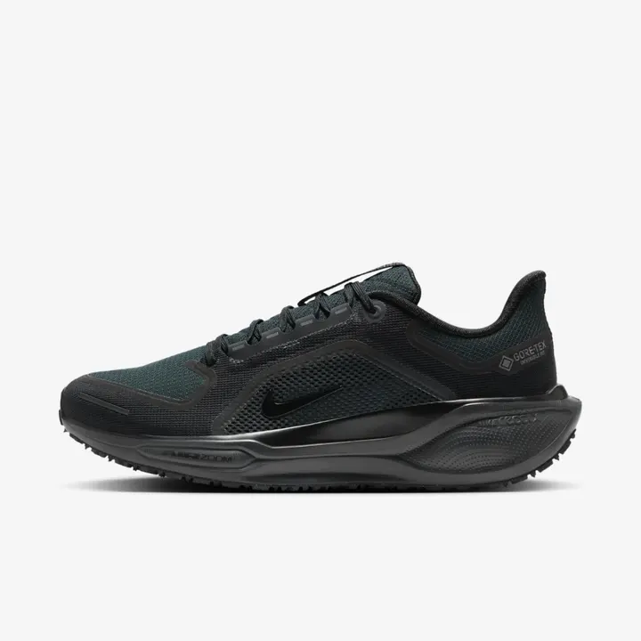 Кросівки Чоловічі Nike Air Zoom Pegasus 41 Gore-Tex Black Anthracite FQ1356-001
