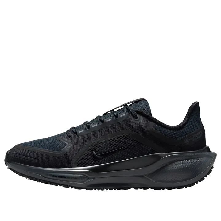 Кросівки Чоловічі Nike Air Zoom Pegasus 41 GORE-TEX Black/Anthracite/Black FQ1357-001