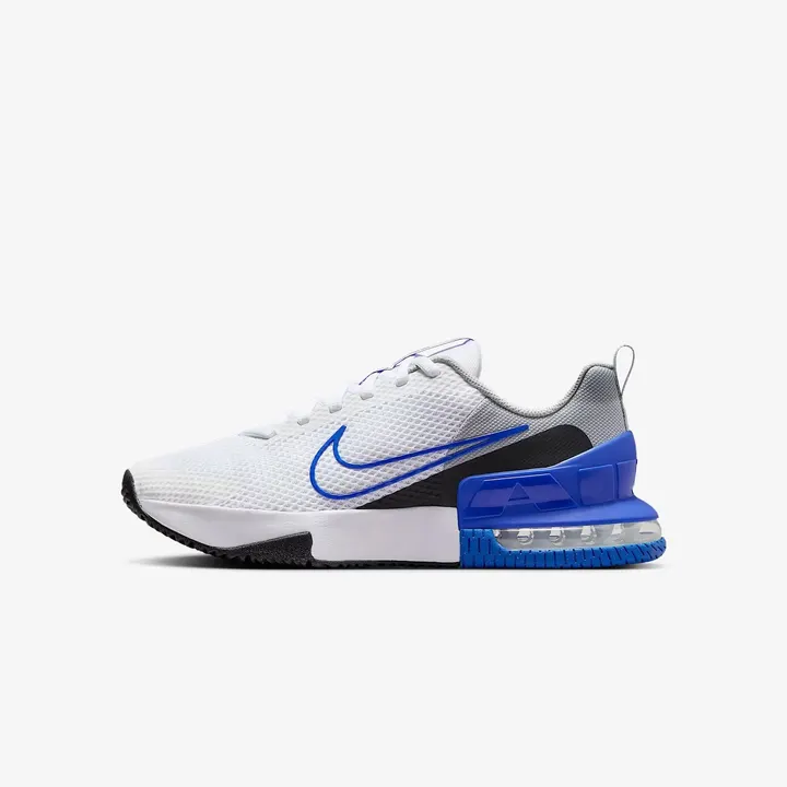 Кросівки Чоловічі Nike Air Max Alpha Trainer 6 FQ1833-102