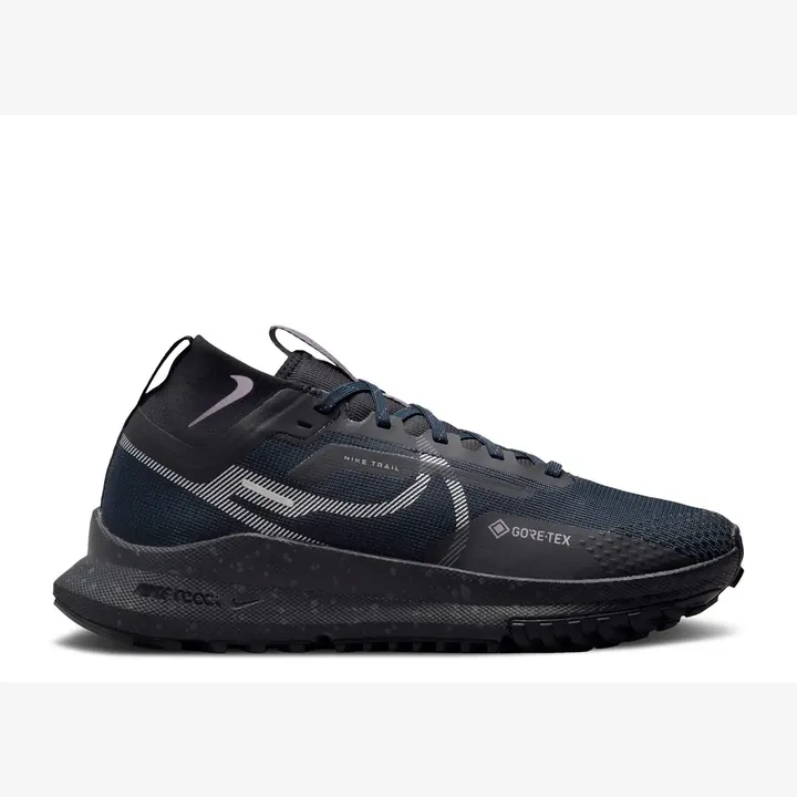 Кросівки Чоловічі Nike Pegasus Trail 4 GORE-TEX Dark Obsidian/Metallic Silver FZ4343-400
