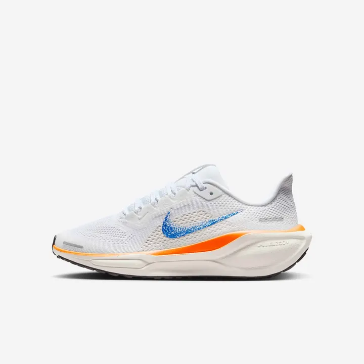 Кросівки Чоловічі Nike Air Zoom Pegasus 41 Blueprint Pack HM4820-100