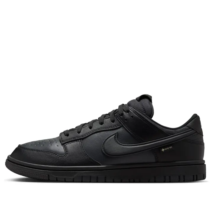 Кросівки Nike Dunk Low GTX Black HQ2053–001