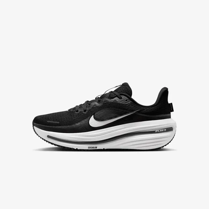 Кросівки Чоловічі Nike Air Winflo 12 Black HV9272-002