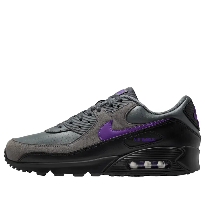 Кросівки Nike Air Max 90 Iron Grey Black Wild Grape IF0670-004