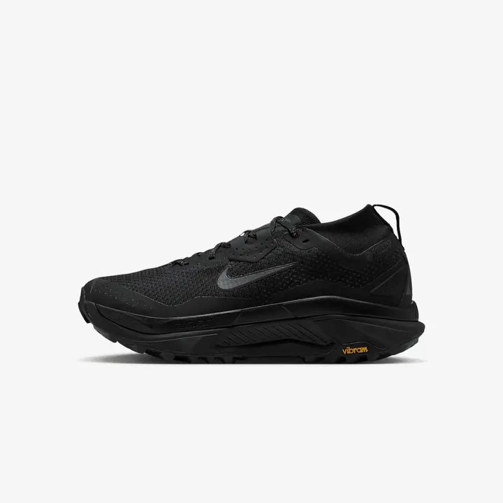 Кросівки Чоловічі Nike Zegama Trail Gore-Tex IO7932-002