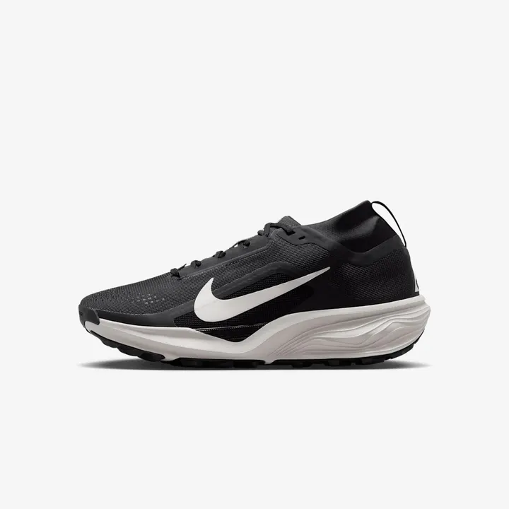 Кросівки Чоловічі Nike Pegasus Trail Gore-Tex IQ1084-001